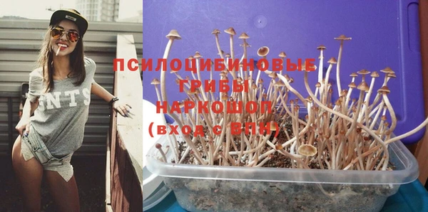 а пвп мука Абаза