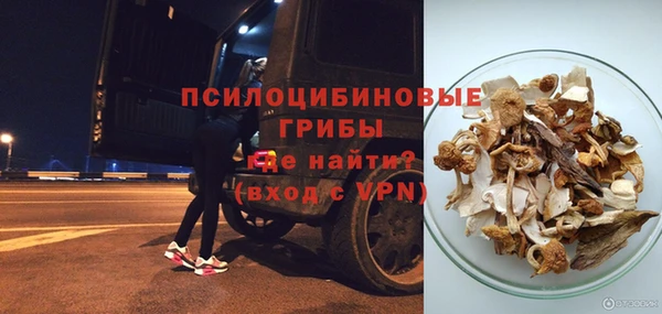 а пвп мука Абаза
