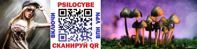 Псилоцибиновые грибы GOLDEN TEACHER  Вичуга 
