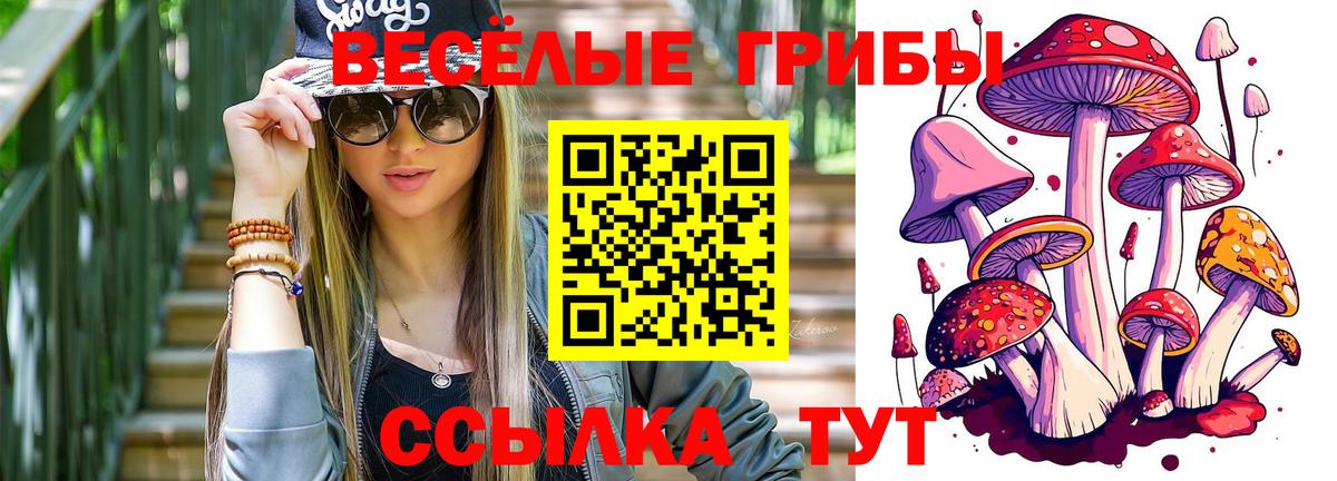 Вичуга  Псилоцибиновые грибы Magic Shrooms  Вход с VPN 